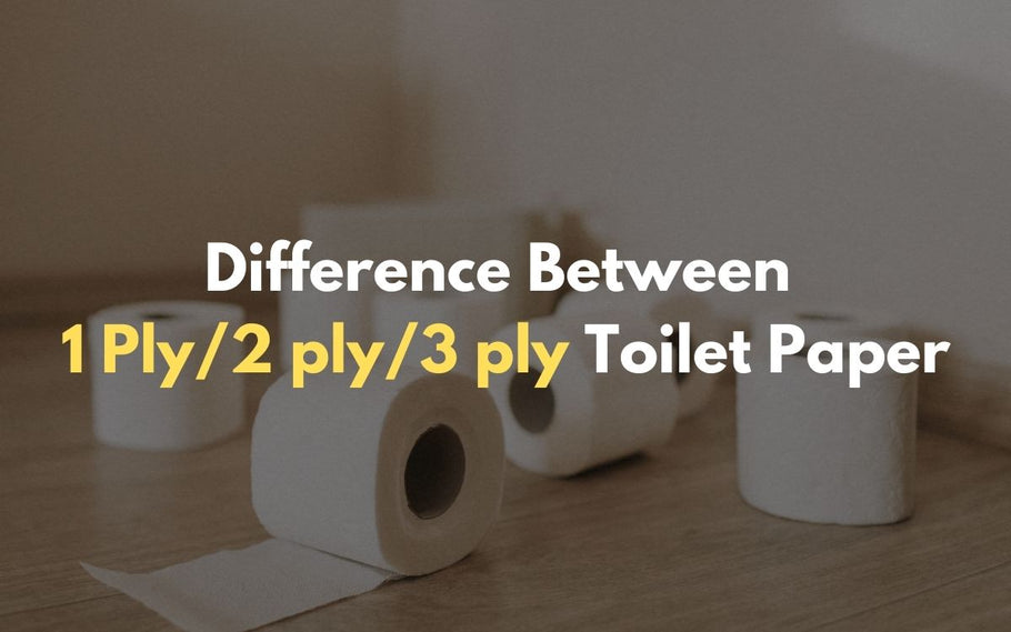 Confused Between Buying 1 Ply/2Ply/3Ply Toilet Paper? Here is Everything You Should Know.