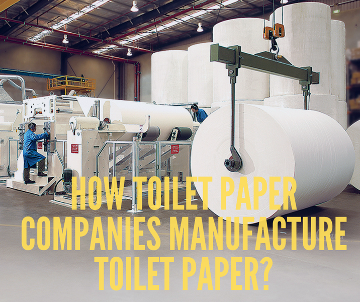 Intrigued about how toilet paper companies manufacture toilet paper? 2021 Updated